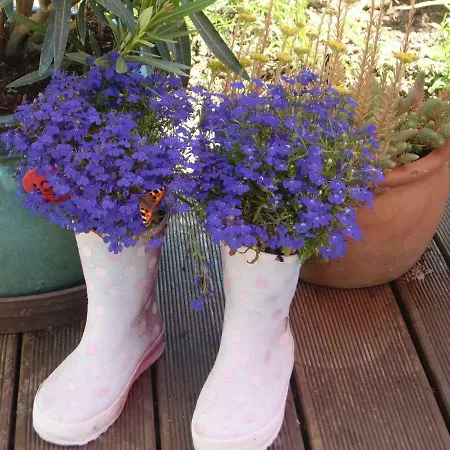 The Little Stone House *