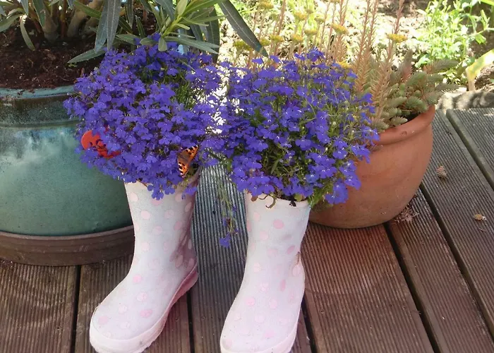 The Little Stone House *